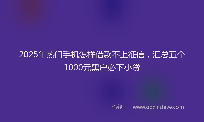 2025年热门手机怎样借款不上征信，汇总五个1000元黑户必下小贷