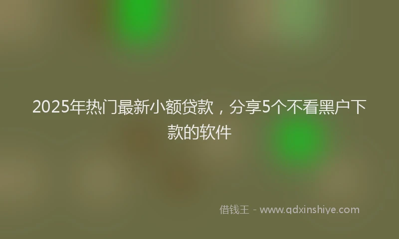 2025年热门最新小额贷款，分享5个不看黑户下款的软件