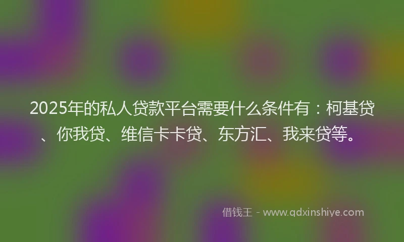 2025年的私人贷款平台需要什么条件有：柯基贷、你我贷、维信卡卡贷、东方汇、我来贷等。