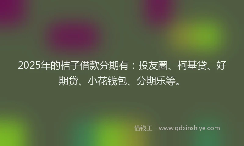 2025年的桔子借款分期有：投友圈、柯基贷、好期贷、小花钱包、分期乐等。