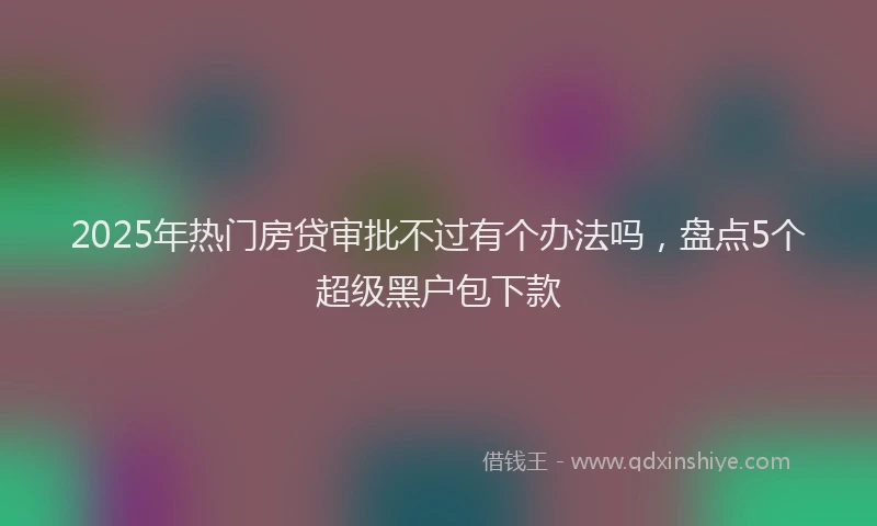 2025年热门房贷审批不过有个办法吗，盘点5个超级黑户包下款