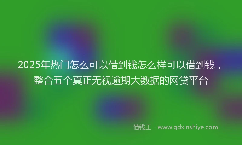 2025年热门怎么可以借到钱怎么样可以借到钱，整合五个真正无视逾期大数据的网贷平台