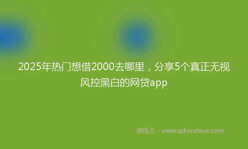 2025年热门想借2000去哪里，分享5个真正无视风控黑白的网贷app