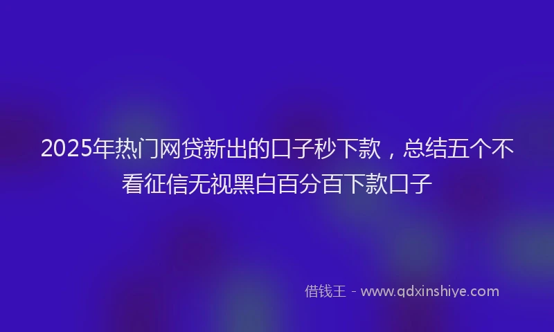 2025年热门网贷新出的口子秒下款，总结五个不看征信无视黑白百分百下款口子
