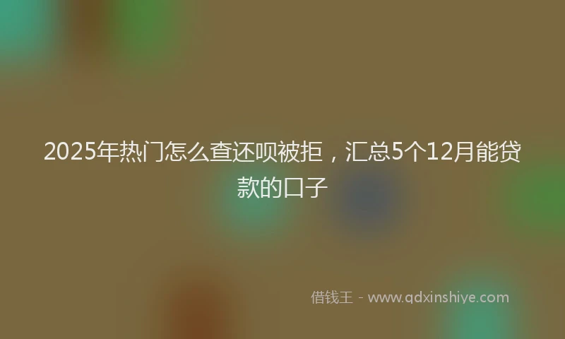 2025年热门怎么查还呗被拒，汇总5个12月能贷款的口子