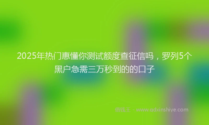 2025年热门惠懂你测试额度查征信吗，罗列5个黑户急需三万秒到的的口子