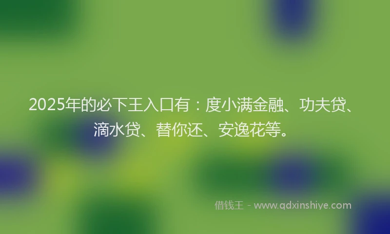 2025年的必下王入口有：度小满金融、功夫贷、滴水贷、替你还、安逸花等。