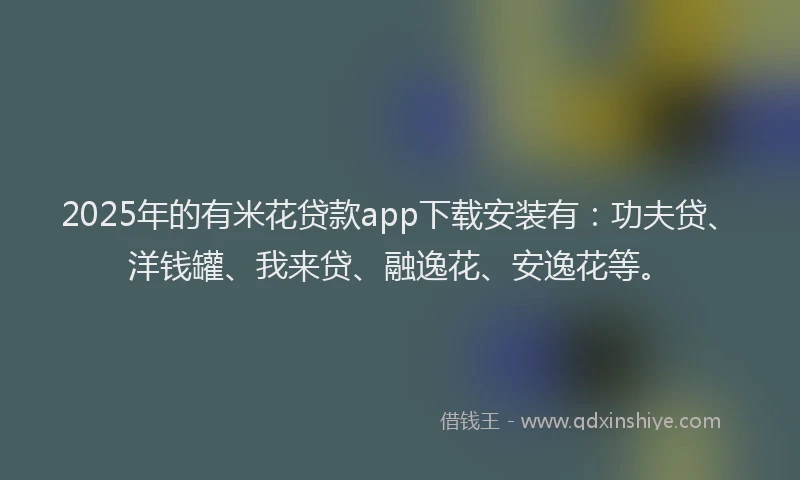 2025年的有米花贷款app下载安装有：功夫贷、洋钱罐、我来贷、融逸花、安逸花等。