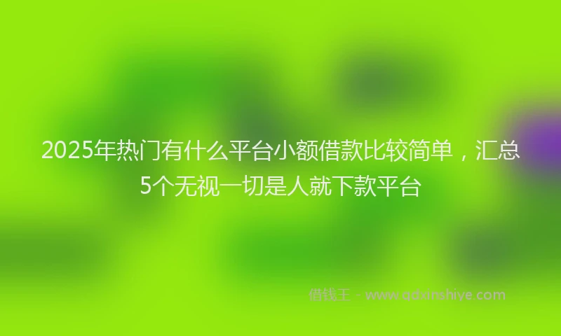 2025年热门有什么平台小额借款比较简单，汇总5个无视一切是人就下款平台