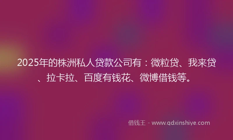 2025年的株洲私人贷款公司有：微粒贷、我来贷、拉卡拉、百度有钱花、微博借钱等。