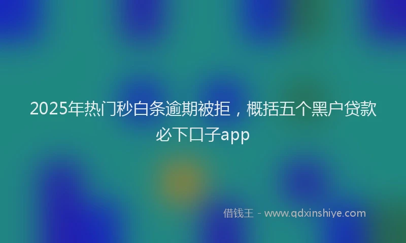2025年热门秒白条逾期被拒，概括五个黑户贷款必下口子app