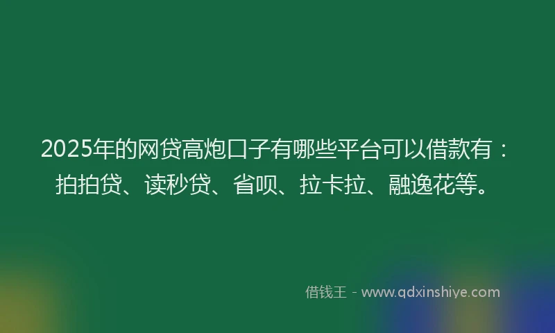 2025年的网贷高炮口子有哪些平台可以借款有：拍拍贷、读秒贷、省呗、拉卡拉、融逸花等。