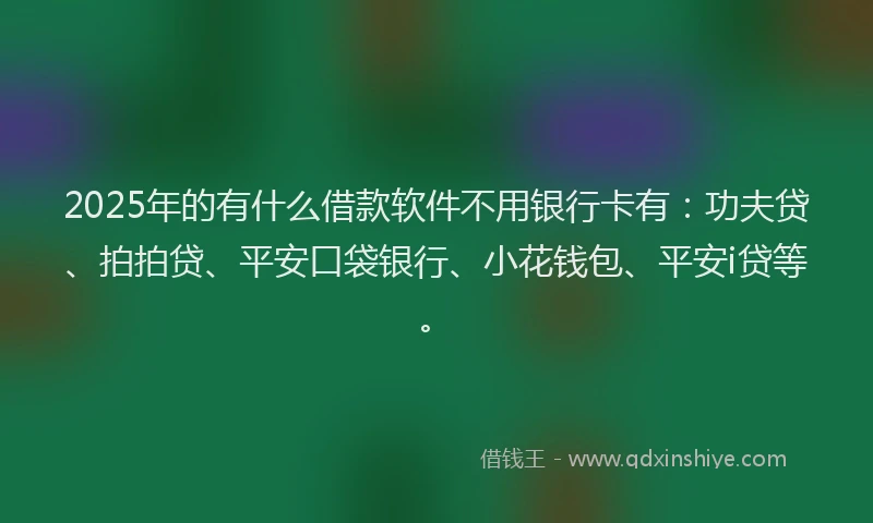 2025年的有什么借款软件不用银行卡有：功夫贷、拍拍贷、平安口袋银行、小花钱包、平安i贷等。