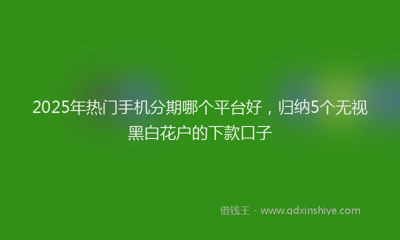 2025年热门手机分期哪个平台好，归纳5个无视黑白花户的下款口子