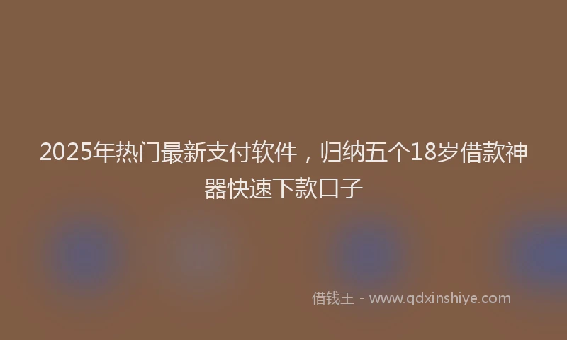 2025年热门最新支付软件，归纳五个18岁借款神器快速下款口子