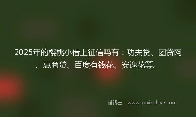 2025年的樱桃小借上征信吗有：功夫贷、团贷网、惠商贷、百度有钱花、安逸花等。