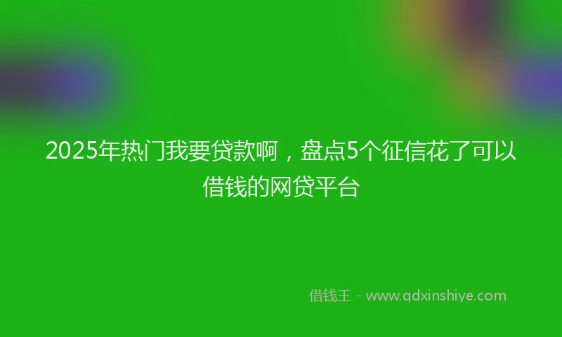 2025年热门我要贷款啊，盘点5个征信花了可以借钱的网贷平台