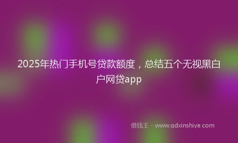 2025年热门手机号贷款额度，总结五个无视黑白户网贷app