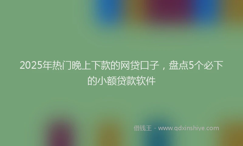 2025年热门晚上下款的网贷口子，盘点5个必下的小额贷款软件