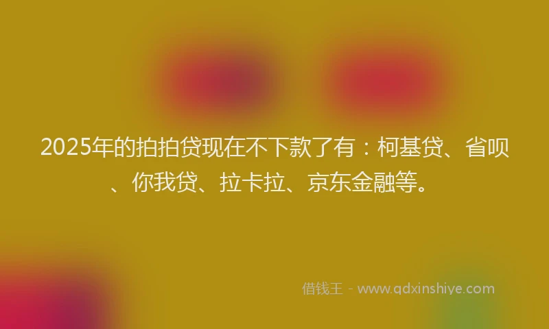 2025年的拍拍贷现在不下款了有：柯基贷、省呗、你我贷、拉卡拉、京东金融等。