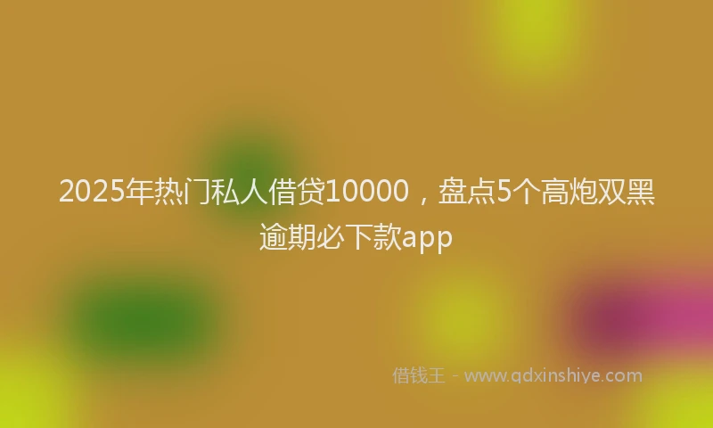2025年热门私人借贷10000，盘点5个高炮双黑逾期必下款app
