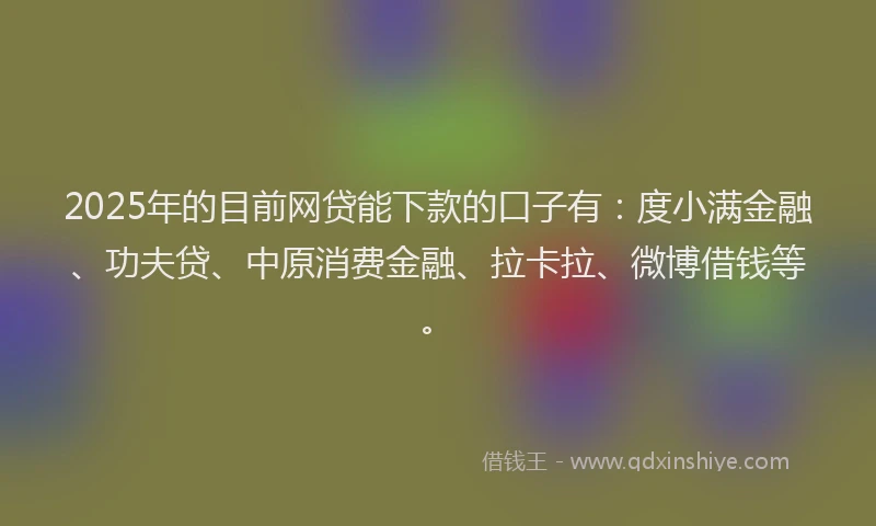 2025年的目前网贷能下款的口子有：度小满金融、功夫贷、中原消费金融、拉卡拉、微博借钱等。