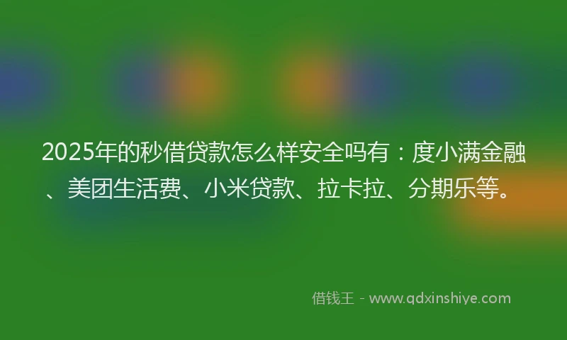 2025年的秒借贷款怎么样安全吗有：度小满金融、美团生活费、小米贷款、拉卡拉、分期乐等。