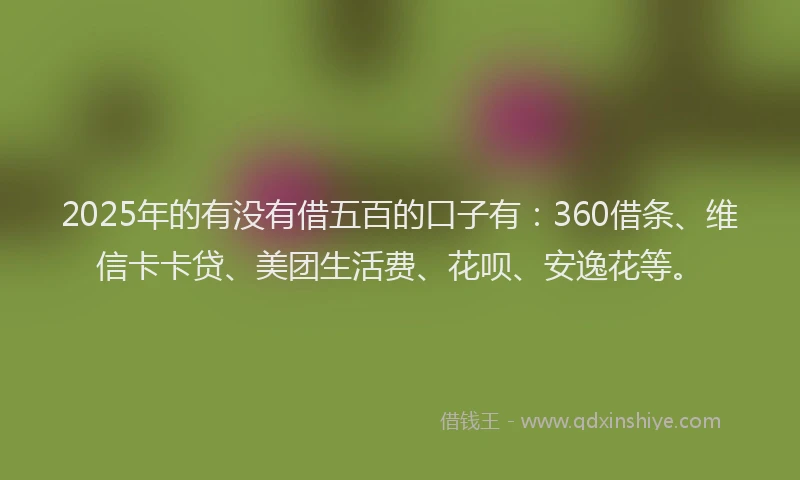 2025年的有没有借五百的口子有：360借条、维信卡卡贷、美团生活费、花呗、安逸花等。