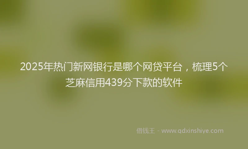 2025年热门新网银行是哪个网贷平台，梳理5个芝麻信用439分下款的软件