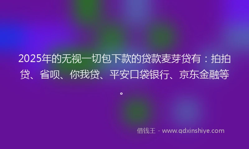 2025年的无视一切包下款的贷款麦芽贷有：拍拍贷、省呗、你我贷、平安口袋银行、京东金融等。