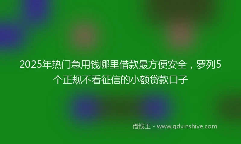 2025年热门急用钱哪里借款最方便安全，罗列5个正规不看征信的小额贷款口子