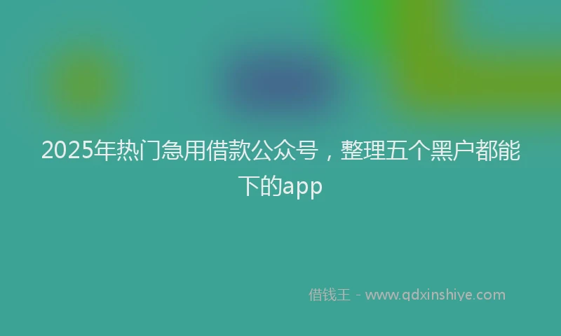 2025年热门急用借款公众号，整理五个黑户都能下的app