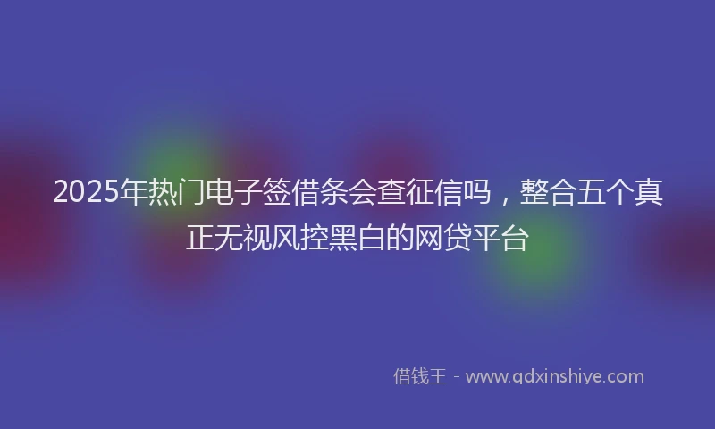 2025年热门电子签借条会查征信吗，整合五个真正无视风控黑白的网贷平台