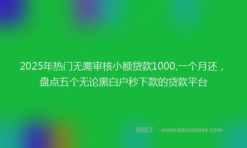 2025年热门无需审核小额贷款1000,一个月还，盘点五个无论黑白户秒下款的贷款平台
