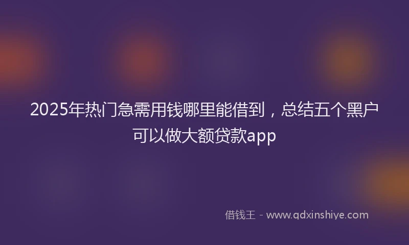2025年热门急需用钱哪里能借到，总结五个黑户可以做大额贷款app