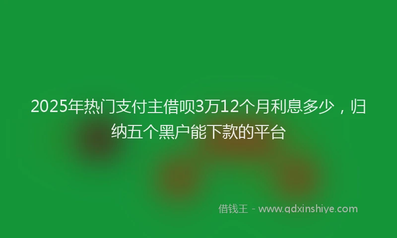 2025年热门支付主借呗3万12个月利息多少，归纳五个黑户能下款的平台