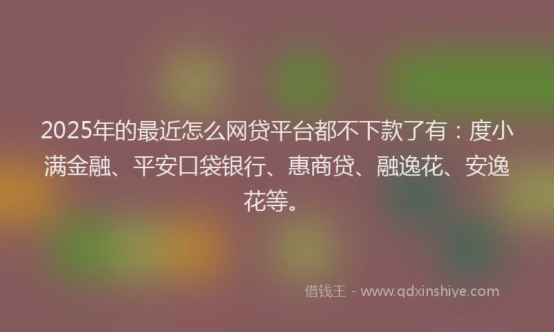 2025年的最近怎么网贷平台都不下款了有：度小满金融、平安口袋银行、惠商贷、融逸花、安逸花等。