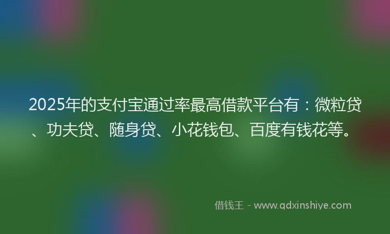 2025年的支付宝通过率最高借款平台有：微粒贷、功夫贷、随身贷、小花钱包、百度有钱花等。