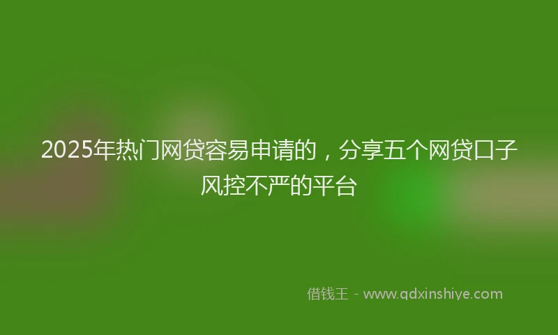 2025年热门网贷容易申请的，分享五个网贷口子风控不严的平台