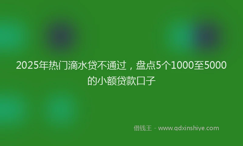 2025年热门滴水贷不通过，盘点5个1000至5000的小额贷款口子