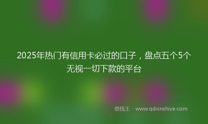 2025年热门有信用卡必过的口子，盘点五个5个无视一切下款的平台