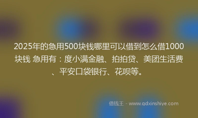 2025年的急用500块钱哪里可以借到怎么借1000块钱 急用有：度小满金融、拍拍贷、美团生活费、平安口袋银行、花呗等。