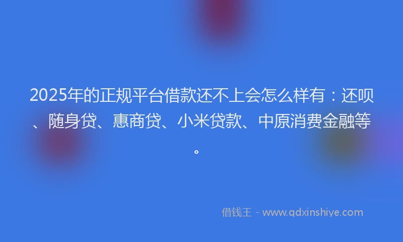 2025年的正规平台借款还不上会怎么样有：还呗、随身贷、惠商贷、小米贷款、中原消费金融等。