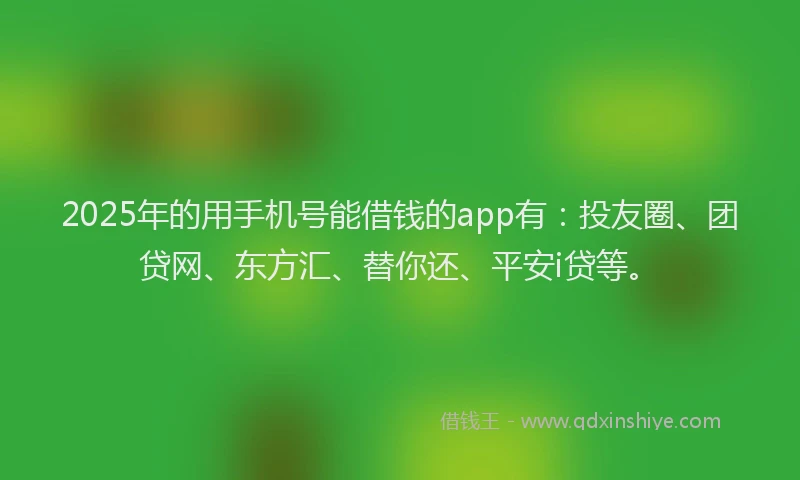 2025年的用手机号能借钱的app有：投友圈、团贷网、东方汇、替你还、平安i贷等。