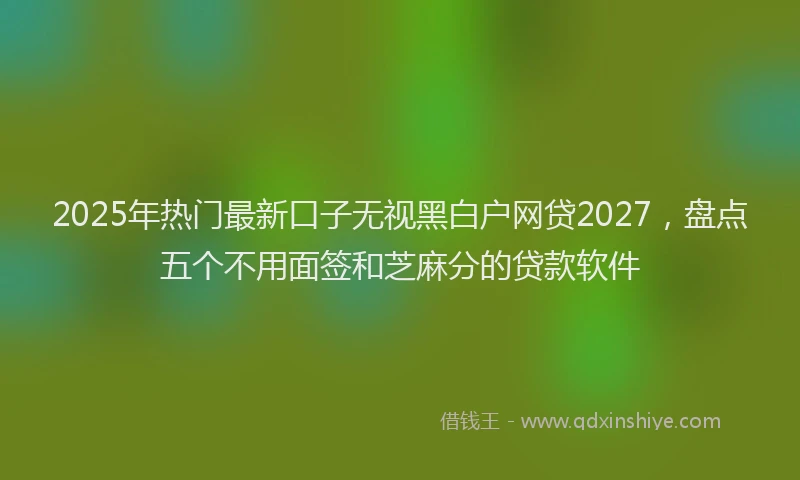 2025年热门最新口子无视黑白户网贷2027，盘点五个不用面签和芝麻分的贷款软件
