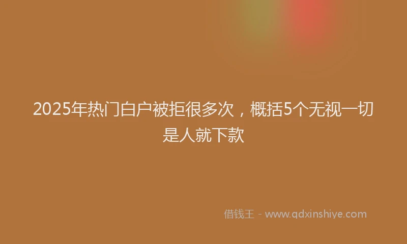 2025年热门白户被拒很多次，概括5个无视一切是人就下款