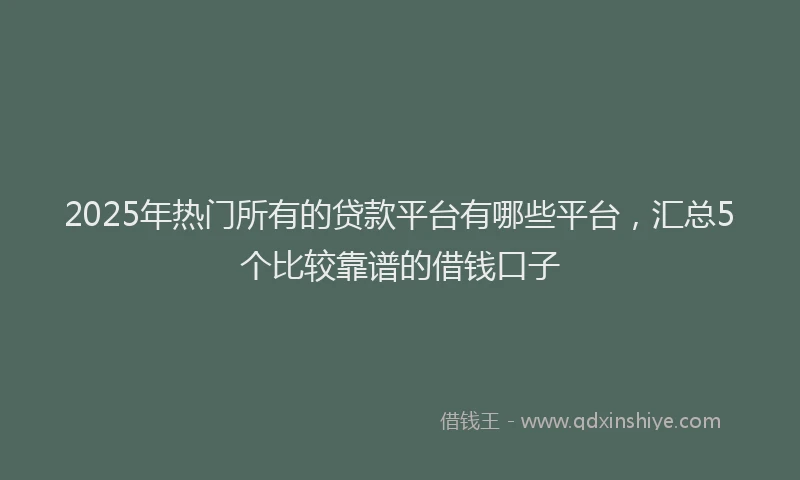2025年热门所有的贷款平台有哪些平台，汇总5个比较靠谱的借钱口子