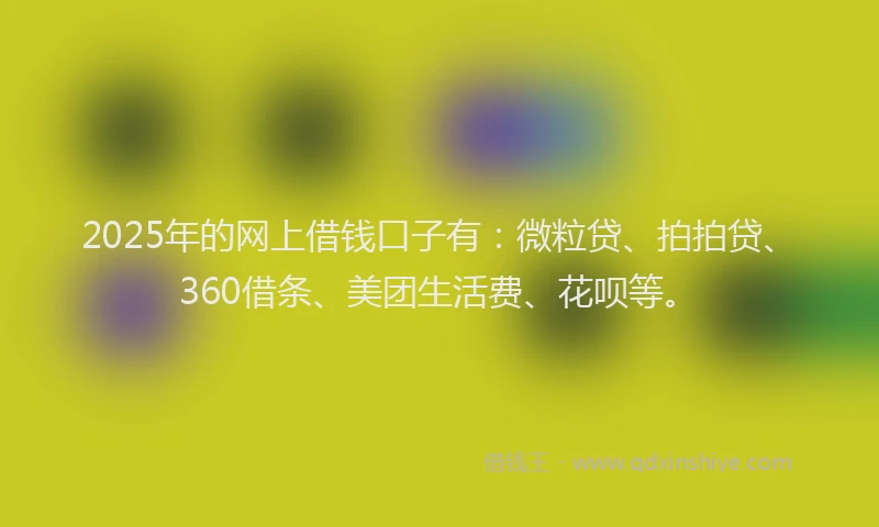 2025年的网上借钱口子有：微粒贷、拍拍贷、360借条、美团生活费、花呗等。