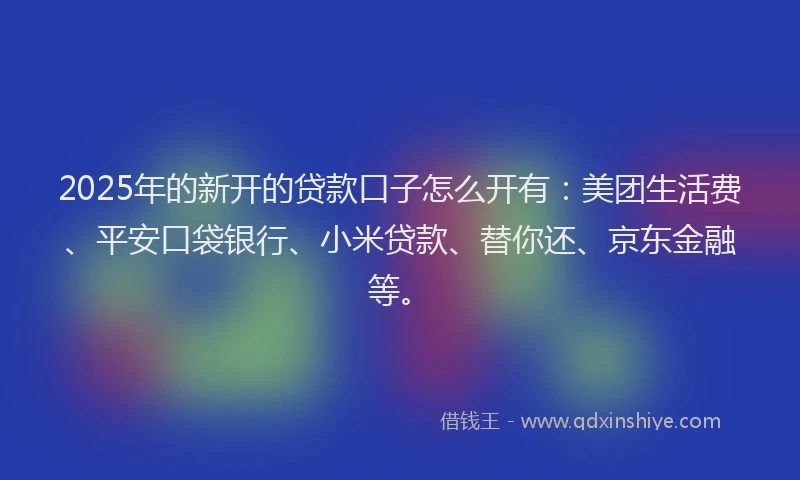 2025年的新开的贷款口子怎么开有：美团生活费、平安口袋银行、小米贷款、替你还、京东金融等。