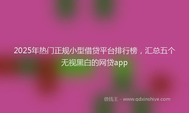 2025年热门正规小型借贷平台排行榜，汇总五个无视黑白的网贷app